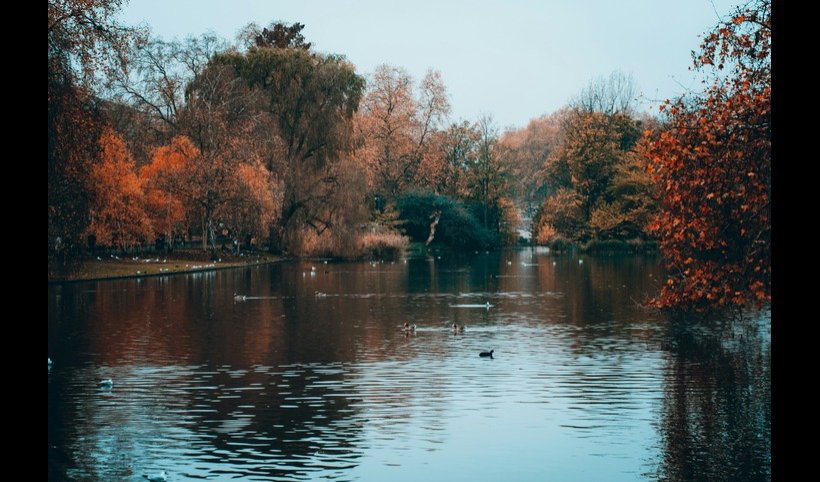 Autumn Walks in London